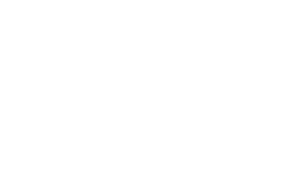 rocco forte knights